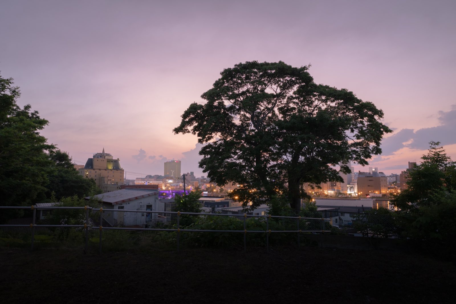 釧路・住吉の高台から望む、霧と街の灯りの夕暮れ